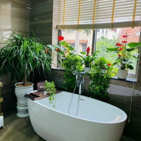 BỒN TẮM CHÂN RỒNG MÀU ĐENCAO CẤP GIÁ XƯỞNG, GIÁ RẺ TẠI ĐÀ LẠT LÂM ĐỒNG